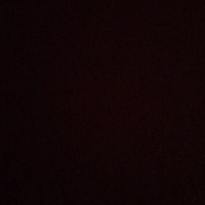 Meet your Posher, Kyann